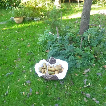 Ruhe Und Relaxen Ii * Raeren